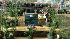 Save the bees with flowers that attract bees