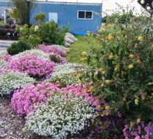 20140912_170455.jpg
