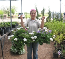 Greenhouse
